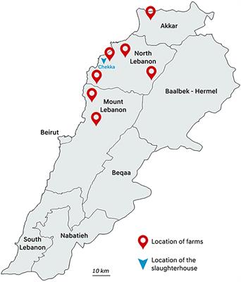 WGS Analysis of Clonal and Plasmidic Epidemiology of Colistin-Resistance Mediated by mcr Genes in the Poultry Sector in Lebanon